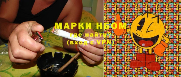 мдпв Заводоуковск