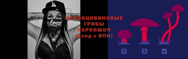 мдпв Заводоуковск