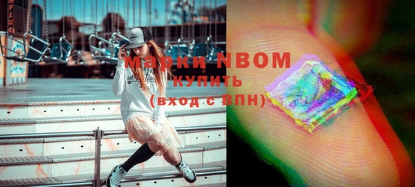 мдпв Заводоуковск