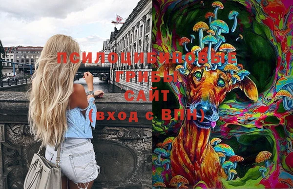 мдпв Заводоуковск