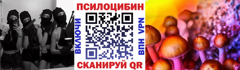 Купить закладки  Гаврилов Посад  Галлюциногенные грибы Cubensis 